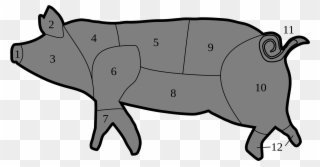 320x167 pork drawing side view free library - Pork Drawing
