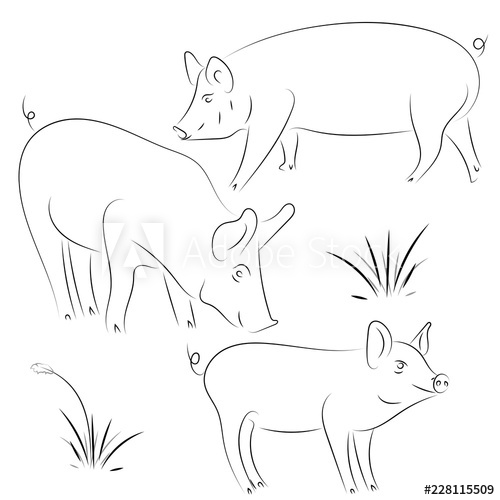 500x500 sketch of pig drawing pig and pork pig symbol, logo, icon - Pork Drawing