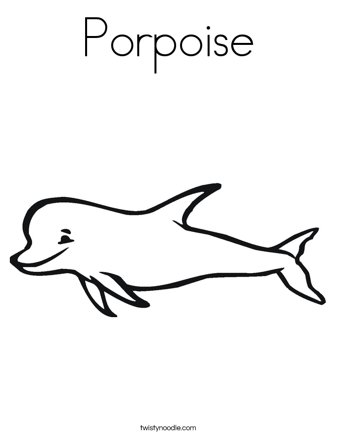 685x886 porpoise drawing - Porpoise Drawing