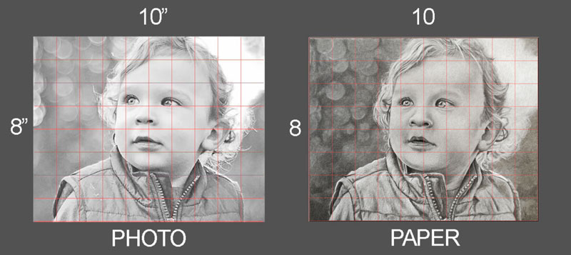 Portrait Drawing Grid