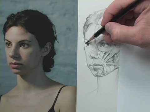 480x360 Drawing Tutorials Online - Portrait Drawing Online