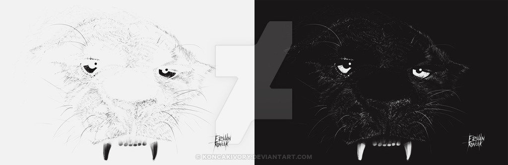 1024x334 jaguar positive negative drawing - Positive Negative Drawing