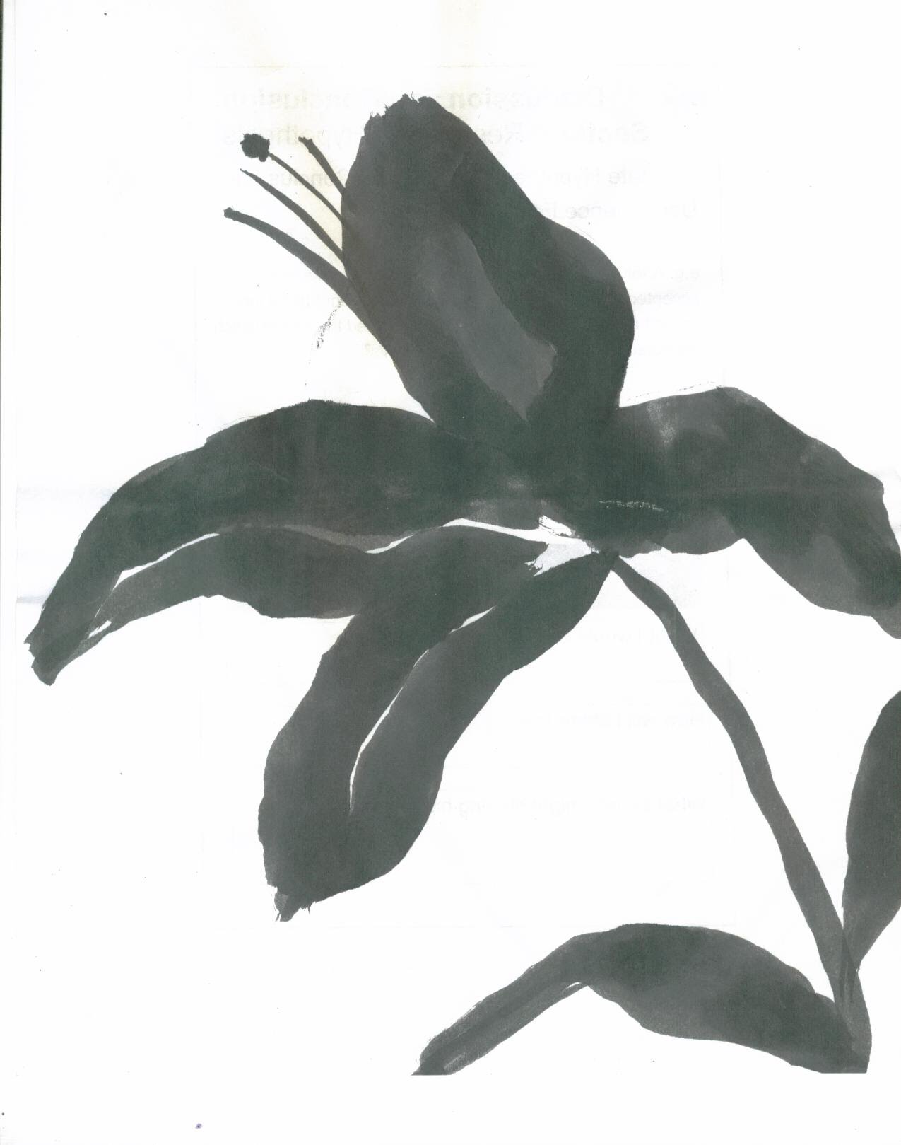 1275x1619 positive and negative drawings - Positive Negative Drawing