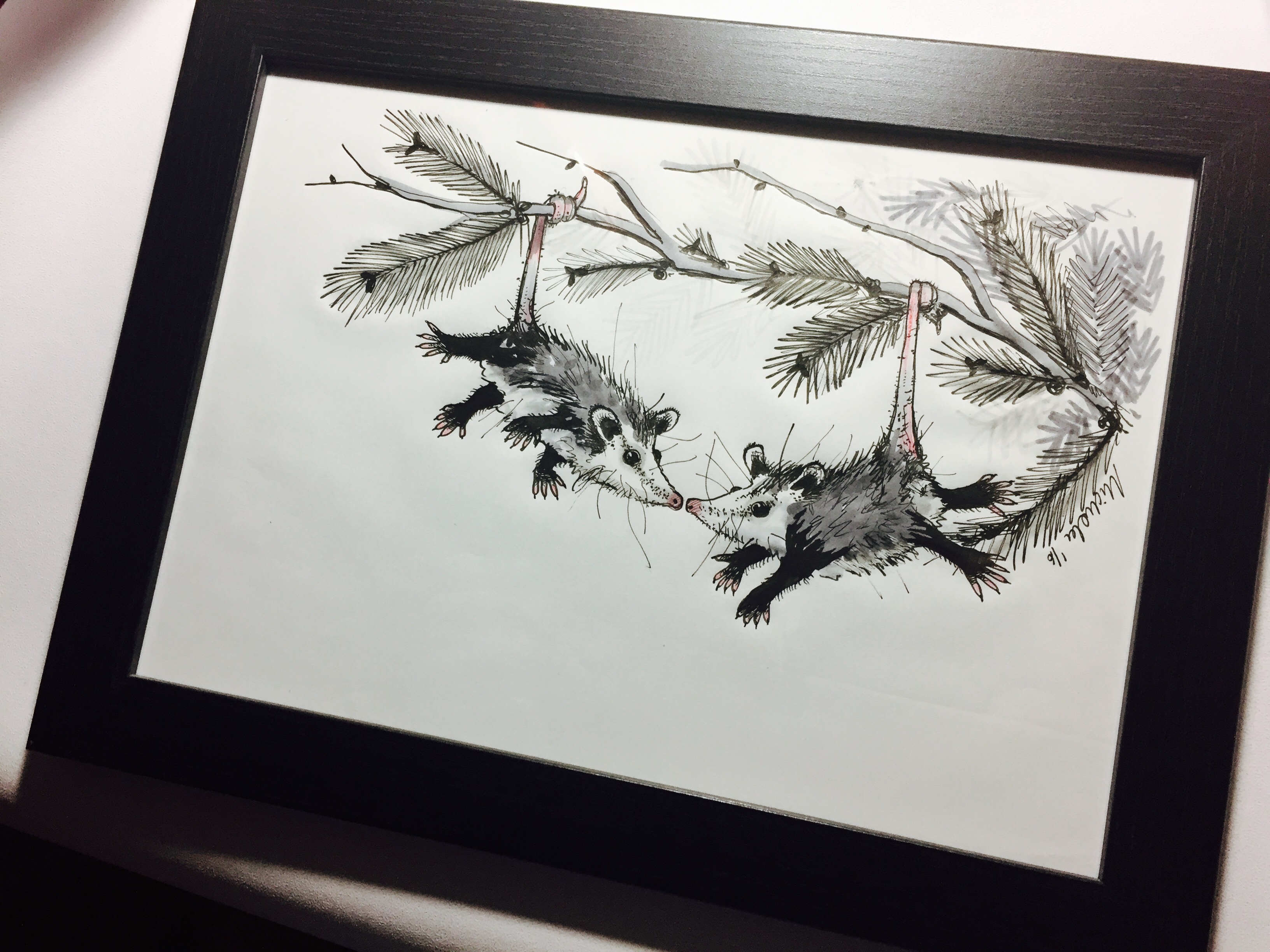 3264x2448 possum drawing for a friend - Possum Drawing