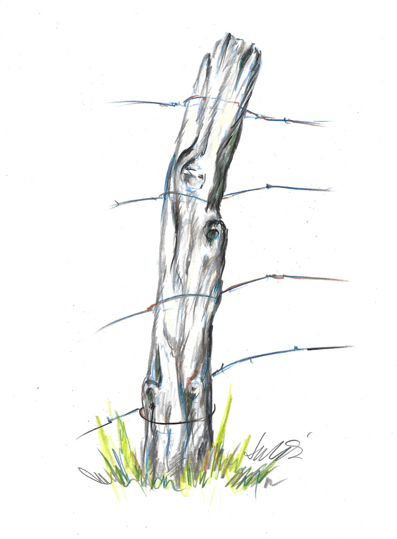 1533x2083 Jacki Kellum - Post Drawing