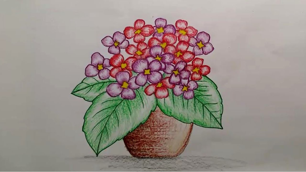 Featured image of post Easy Drawings Flowers Pot - Houseplants or potted plants are more popular today than ever before.