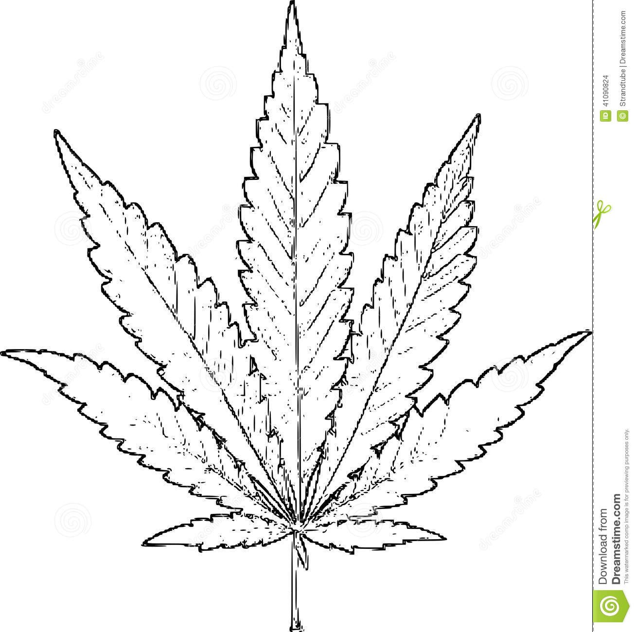 1308x1300 Marijuana Leaf Drawing Step - Pot Leaf Drawing
