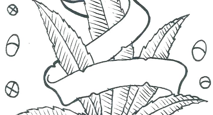 724x393 Marijuana Leaf Drawing Best Printable Adult Color - Pot Leaf Drawing