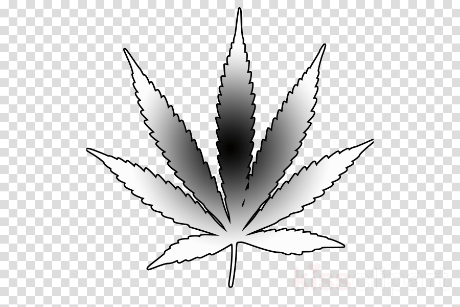 900x600 download marijuana drawing pot leaf clipart cannabis drawing clip art - Pot Leaf Drawing