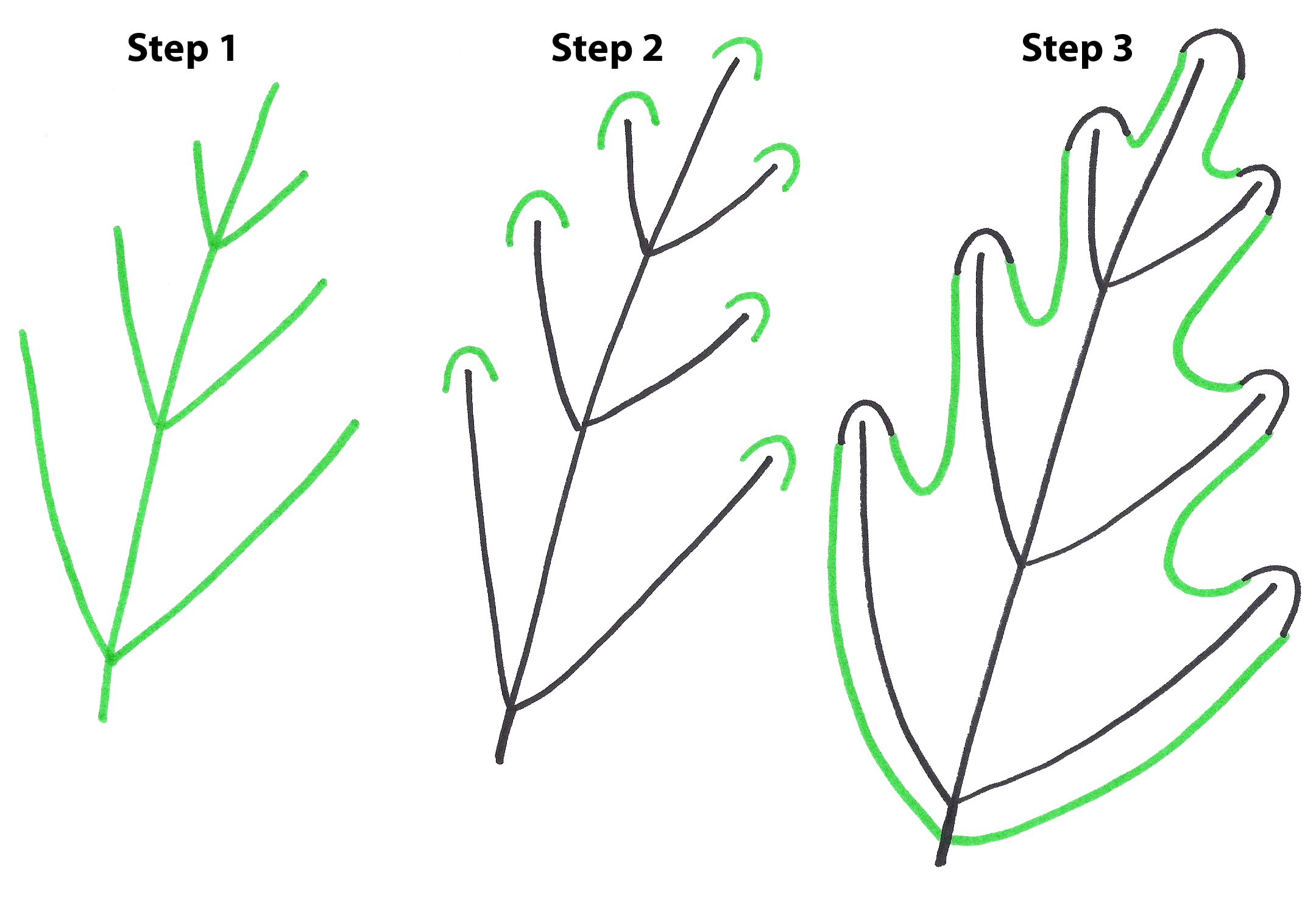 2160x1492 how to draw a autumn leaf easy how to draw a leaf easy how - Pot Leaf Drawing Step By Step