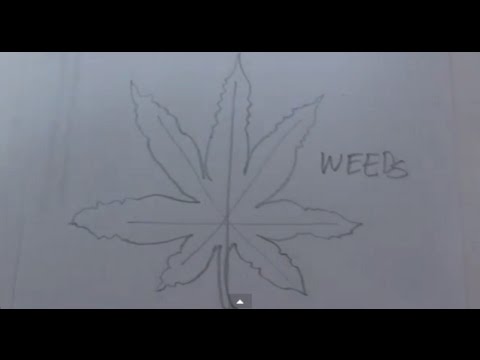 480x360 How To Draw A Weed Leaf - Pot Leaf Drawing Step By Step