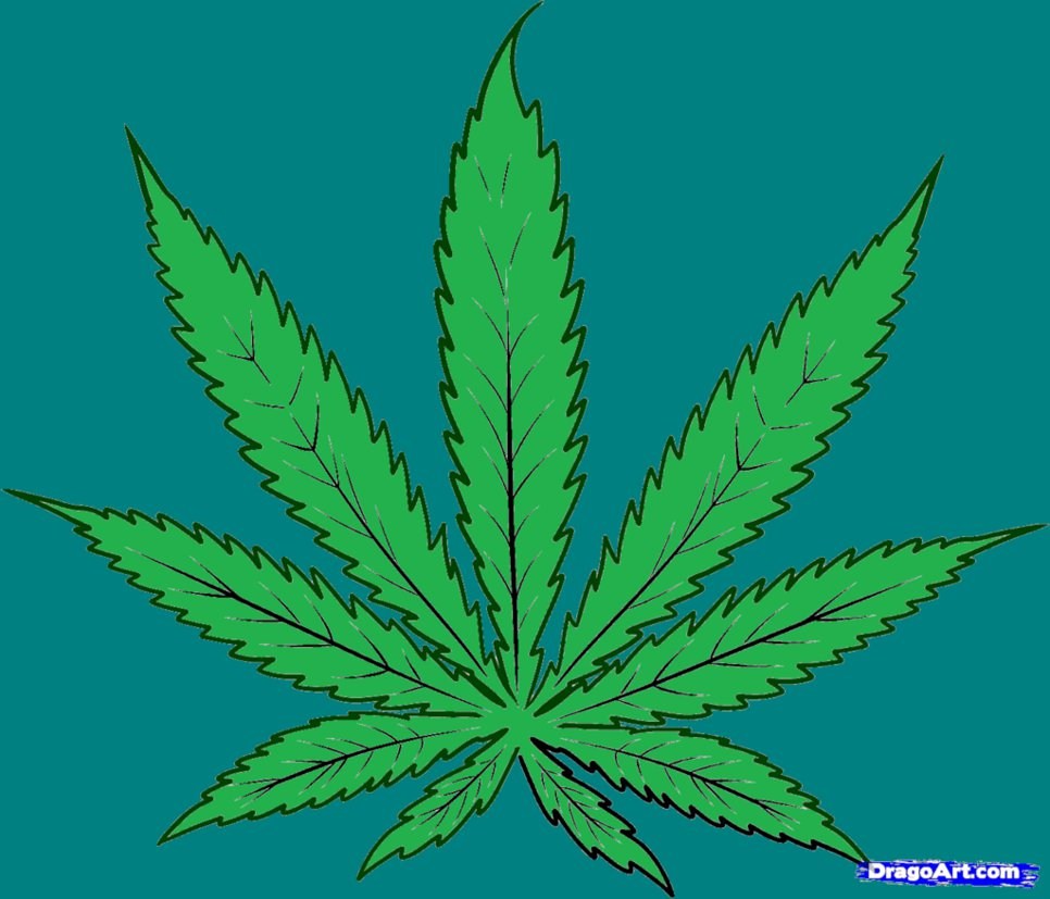 How To Draw Weed Leaf Easy - Pot Leaf Drawing Step By Step. 