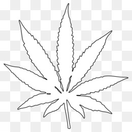 260x260 cannabis leaf drawing png - Pot Leaf Drawing Step By Step