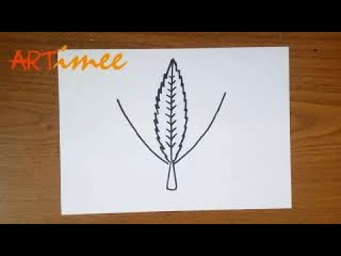 480x360 How To Draw A Pot Leaf Step - Pot Leaf Drawing Step By Step