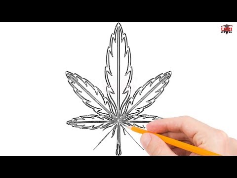 480x360 How To Draw A Weed Leaf Step - Pot Leaf Drawing Step By Step