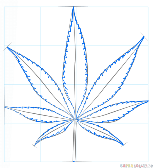 Pot Leaf Drawing Step By Step at Explore