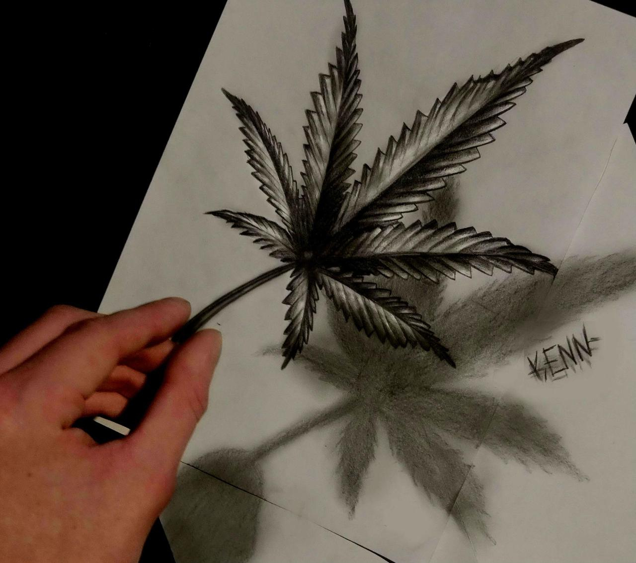 1280x1133 huge collection of 'cannabis leaf drawing' download more than - Pot Leaf Drawing Step By Step
