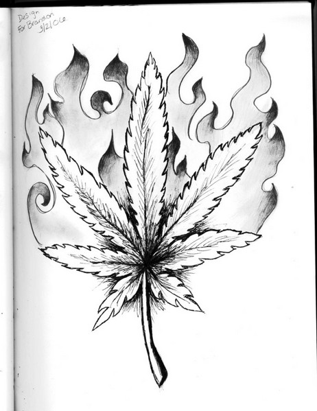 462x599 Huge Collection Of 'pot Leaf Drawing Step - Pot Leaf Drawing Step By Step