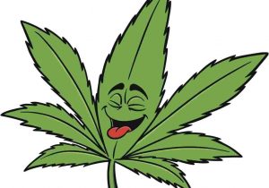 300x210 Barristouristaphotos Weed Leaf Drawing Easy - Pot Leaf Drawing Step By Step