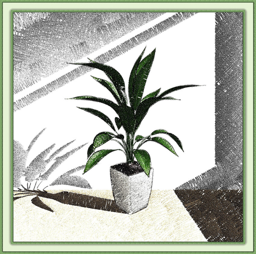 850x843 example colored pencil drawing of pot plant in the window - Pot Plant Drawing