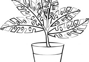 300x210 Flower Pot Images For Drawing In Noun Project Potted Plant Drawing - Pot Plant Drawing