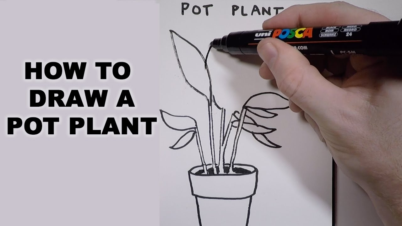 1280x720 How To Draw A Pot Plant - Pot Plant Drawing