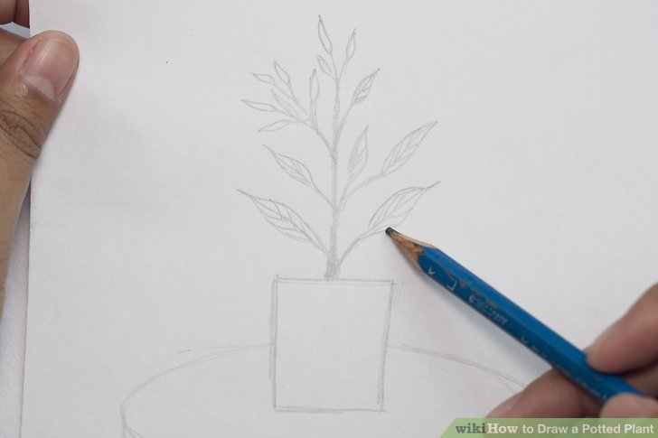 728x485 How To Draw A Potted Plant Steps - Pot Plant Drawing