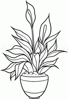 235x339 image result for pot plant drawing pottery painting peace - Pot Plant Drawing