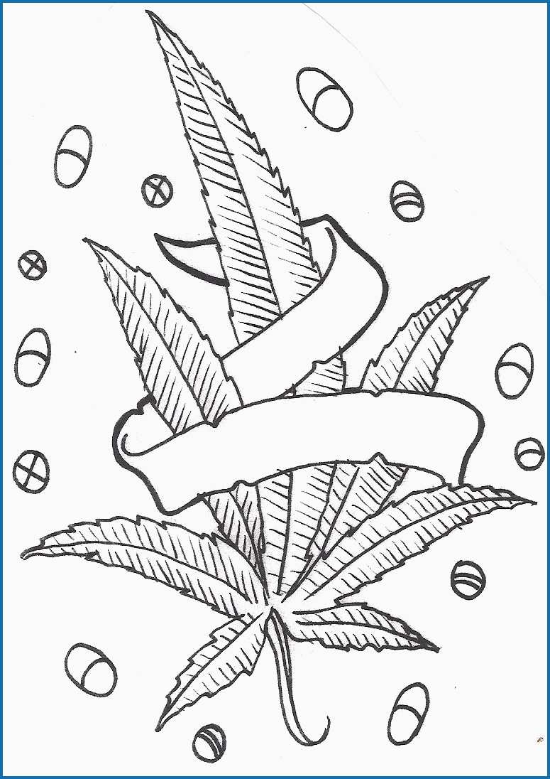 775x1096 Marijuana Leaf Coloring Pages Amazing Pot Plant Coloring Download - Pot Plant Drawing