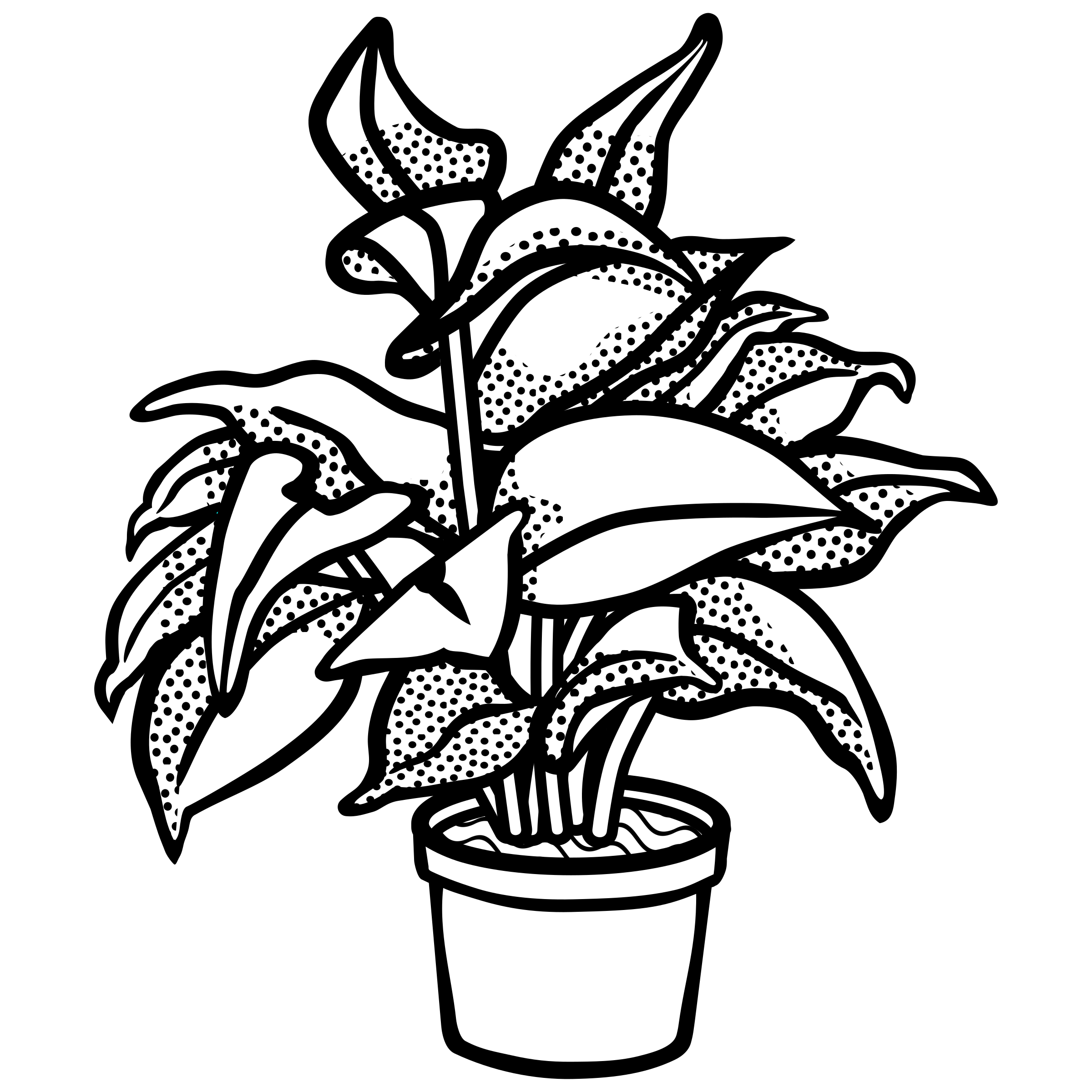 2400x2400 pot plant clipart small plant - Pot Plant Drawing