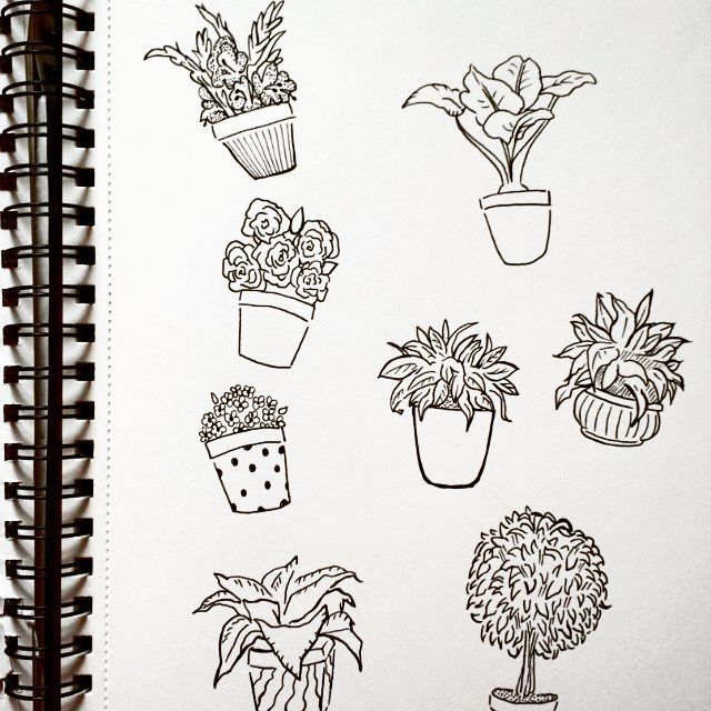 640x640 pot plant doodles after my nap - Pot Plant Drawing