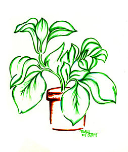 Pot Plant Drawing at PaintingValley.com | Explore collection of Pot