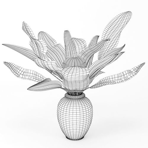 500x500 tropical pot plant cgtrader - Pot Plant Drawing