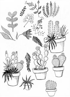 236x327 Best Creativeness Images In Paintings, Doodles, Learn - Pot Plant Drawing