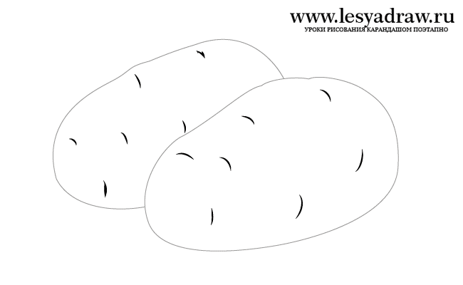 650x400 how to draw potato with a pencil step - Potato Drawing