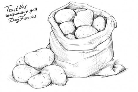 470x313 How To Draw Potatoes Step - Potato Drawing