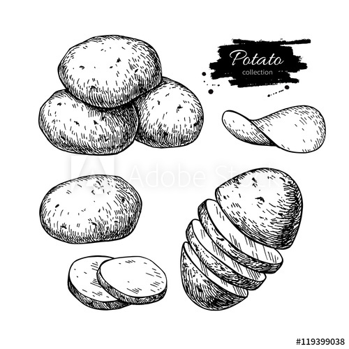 500x500 potato drawing set vector isolated potatoes heap, sliced pieces - Potato Drawing