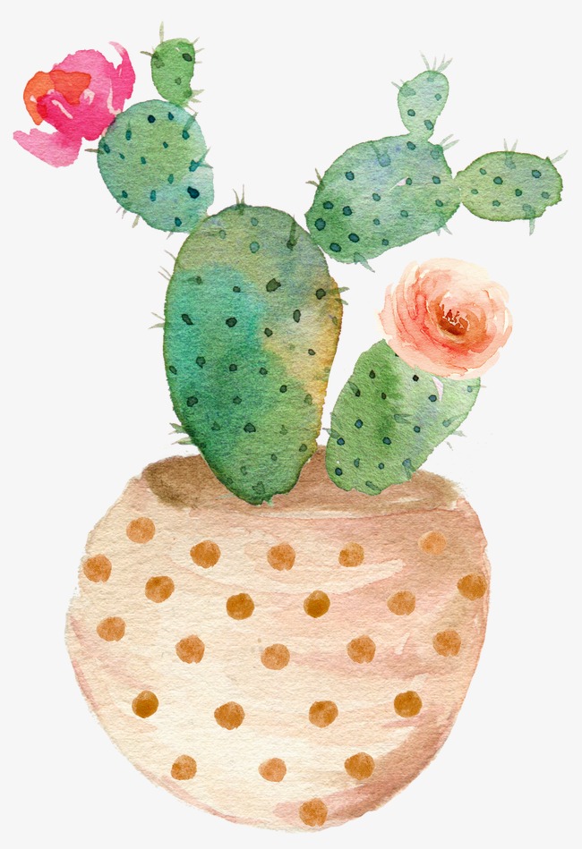Drawing Potted Cactus Bloom, Green, Prickly, Pear Png Image - Potted Cactus...