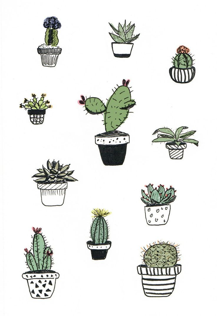 Potted Cactus Drawing At Paintingvalley Com Explore Collection