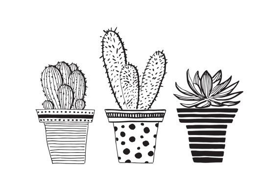 570x389 image result for draw potted cactus art in cactus drawing - Potted Cactus Drawing