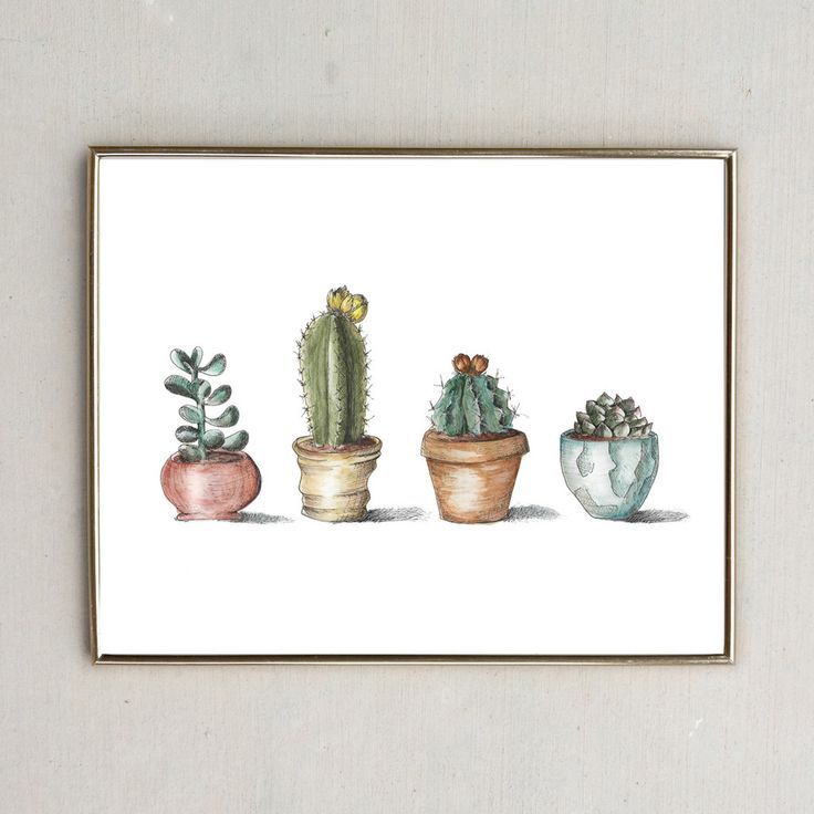 736x736 succulent watercolor art print cactus painting plant wall - Potted Cactus Drawing