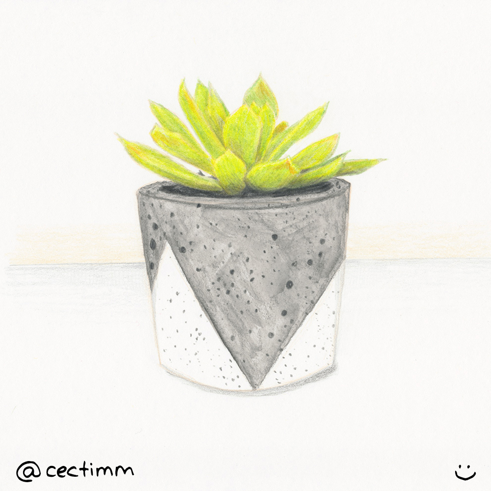 1000x1000 potted cactus archives - Potted Cactus Drawing