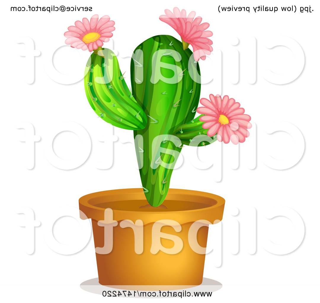 1080x1024 best clipart of potted cactus plant royalty free vector - Potted Cactus Drawing