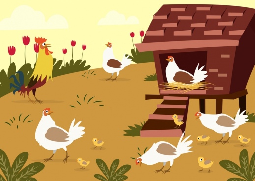 519x368 poultry free vector download - Poultry Drawing