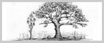 350x145 Drawing - Powder Drawing