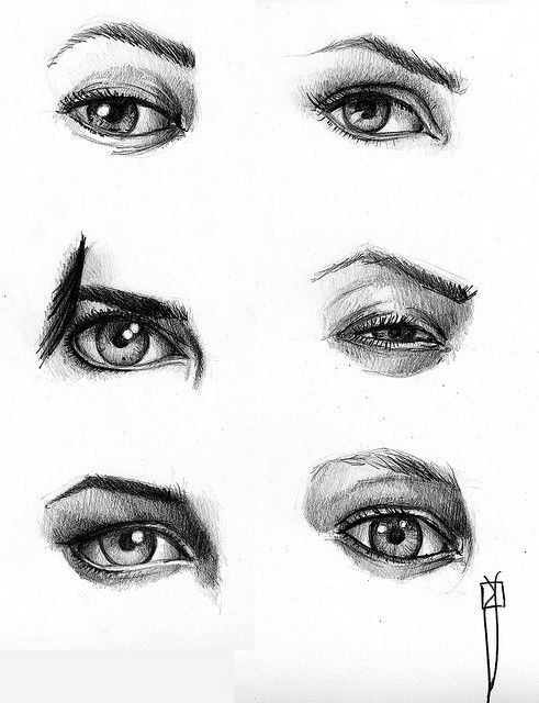 491x640 practice drawing eyes get ready get set draw! drawings - Practice Drawing