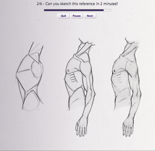 500x486 Adaptive Learning Practice Engine For Anatomy Drawing - Practice Drawing