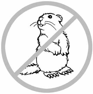 320x322 man bites prairie dogs! - Prairie Dog Drawing