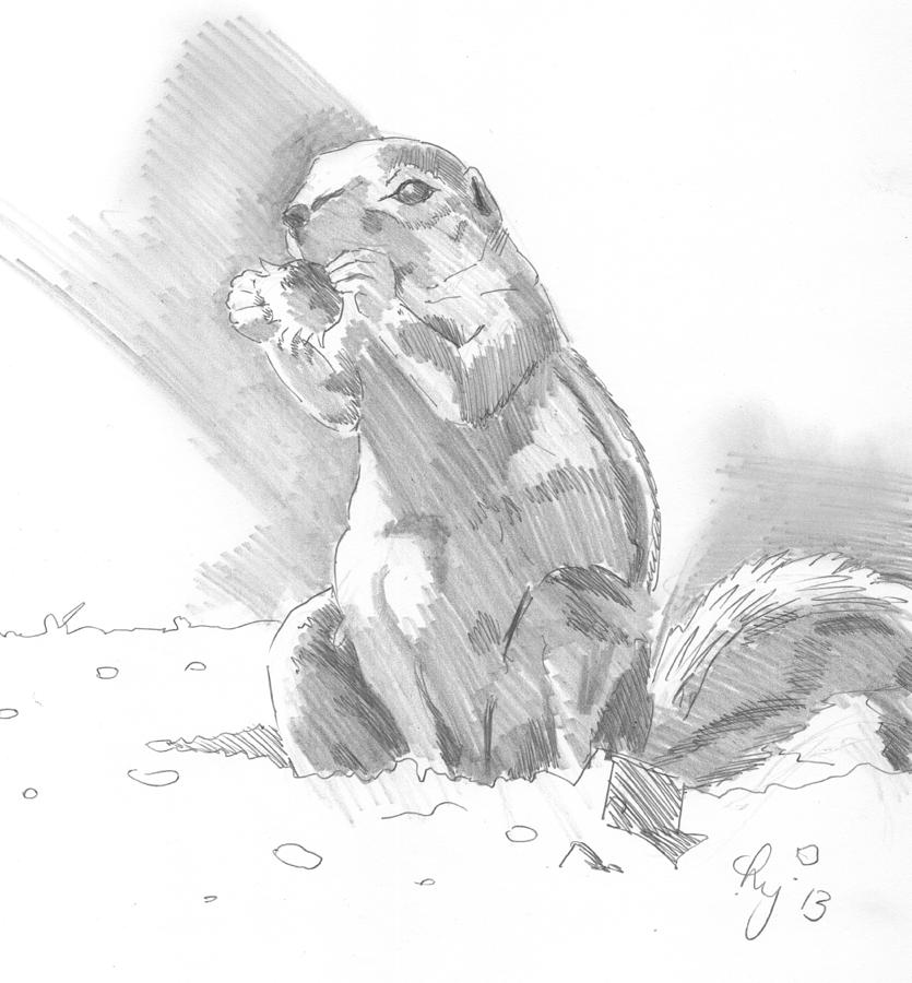 835x900 prairie dog drawing - Prairie Dog Drawing