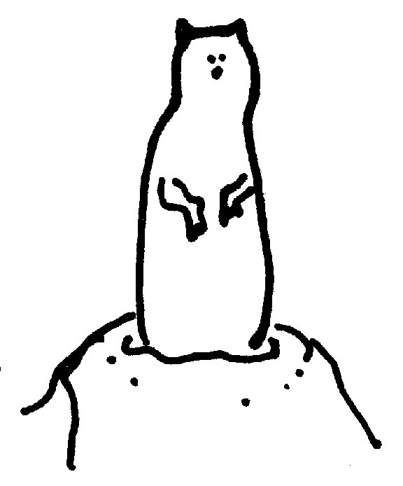 576x694 prairie dog drawing step - Prairie Dog Drawing